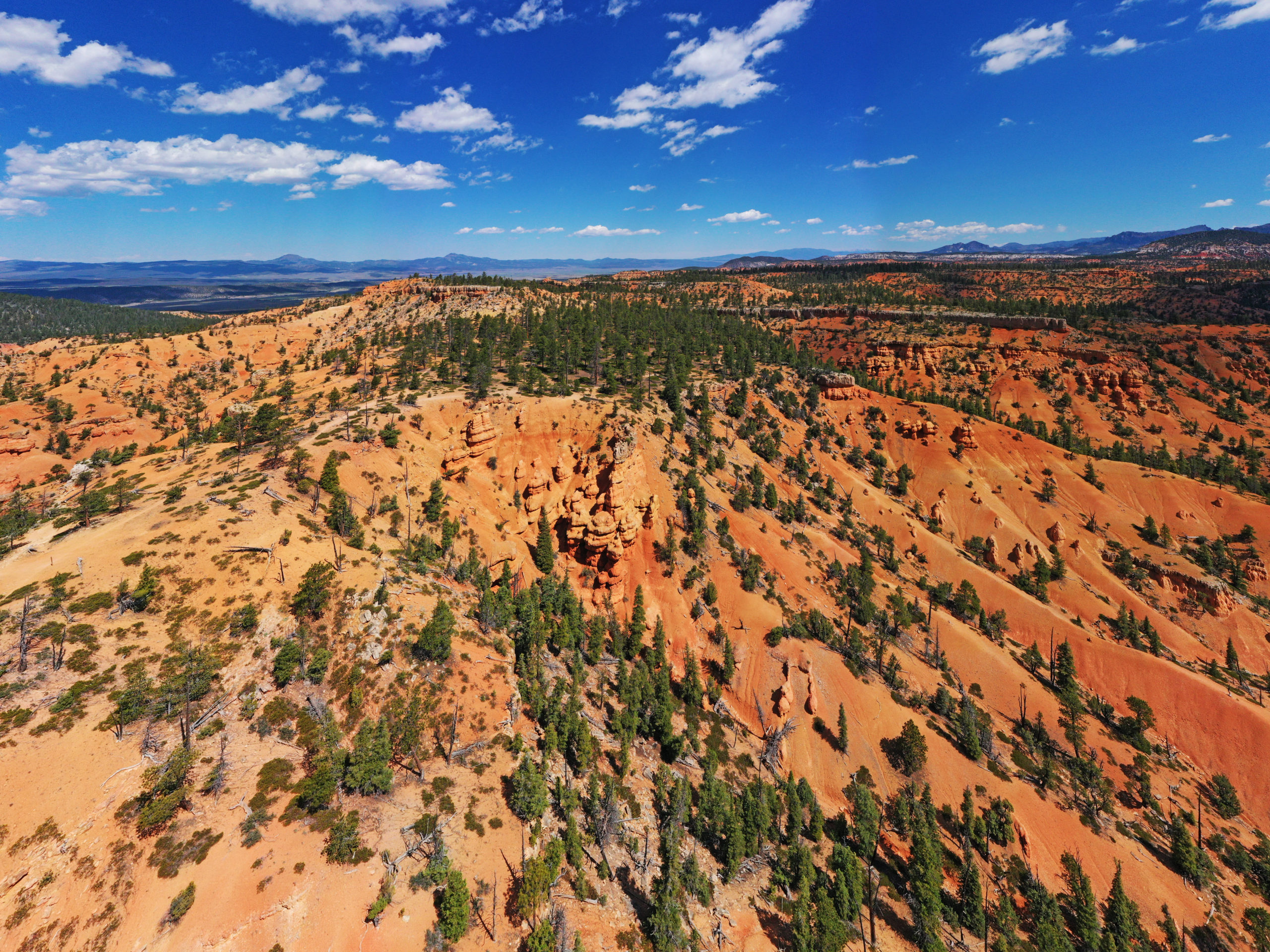 Red Canyon, Utah